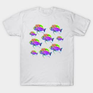 Colorful Fish Pattern T-Shirt